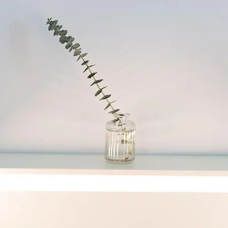 Apartamento Geislerappartments Gramatneusiedl