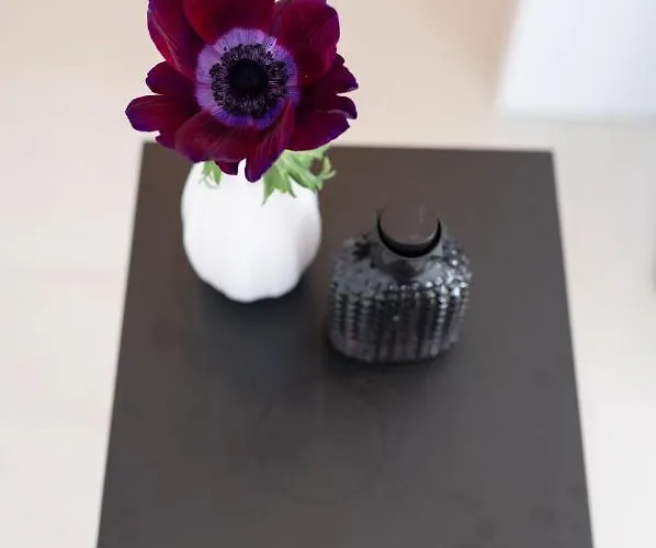 Geislerappartments شقة